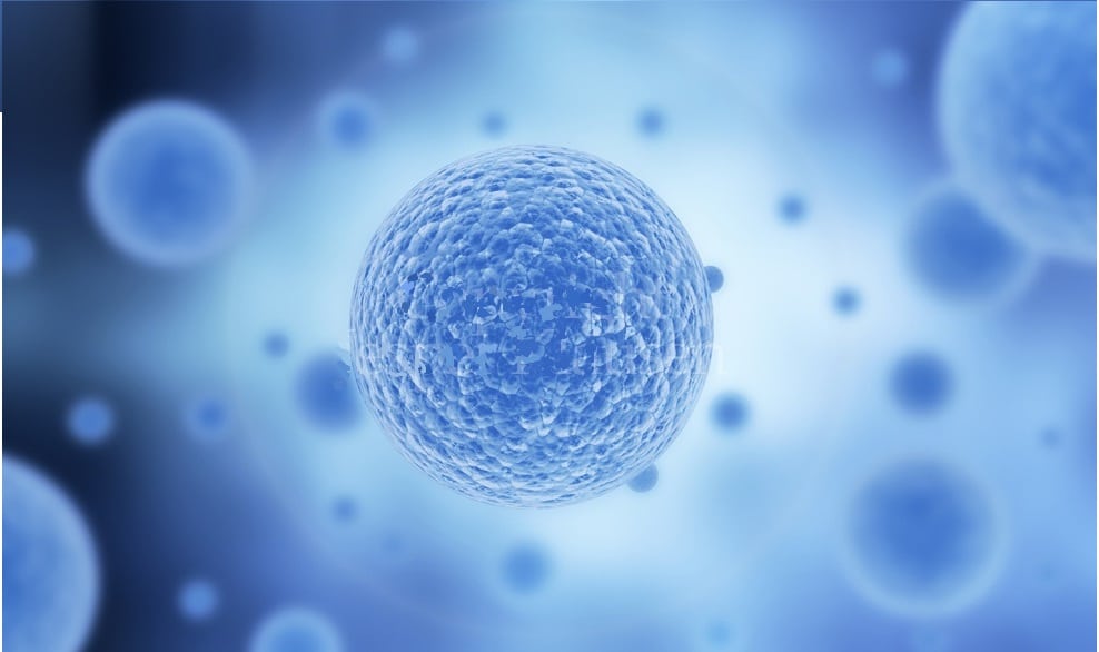 Stem Cells Treatments