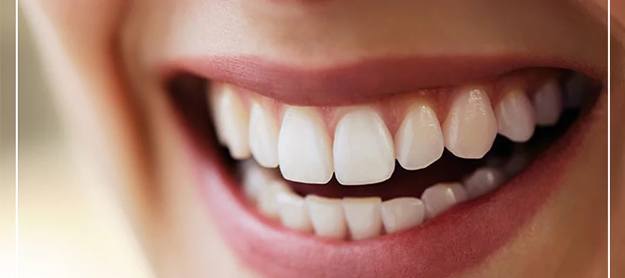 estetik-dis-673c87d2750fe (1)