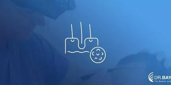 sac-ekimi-sonrasi-egzama-673b4d0e4d77f