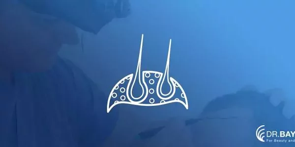 sac-ekimi-sonrasi-sac-kirilmasi-673c3eac98b8e